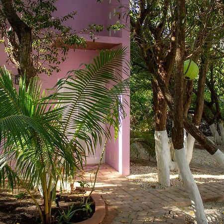 Villa Casa Rosse Tulum Exterior foto